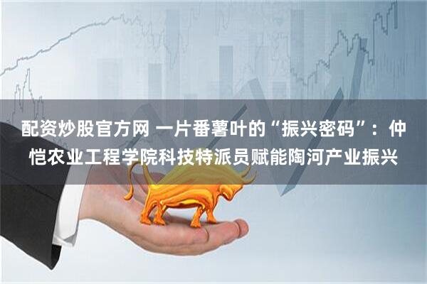 配资炒股官方网 一片番薯叶的“振兴密码”：仲恺农业工程学院科技特派员赋能陶河产业振兴