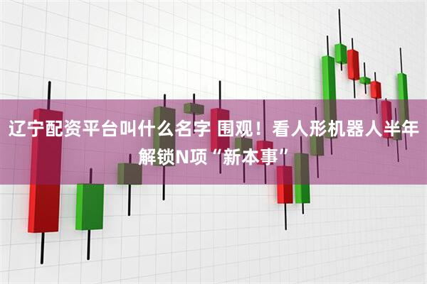 辽宁配资平台叫什么名字 围观！看人形机器人半年解锁N项“新本事”