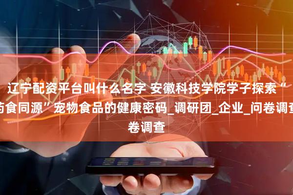 辽宁配资平台叫什么名字 安徽科技学院学子探索“药食同源”宠物食品的健康密码_调研团_企业_问卷调查