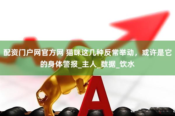配资门户网官方网 猫咪这几种反常举动，或许是它的身体警报_主人_数据_饮水