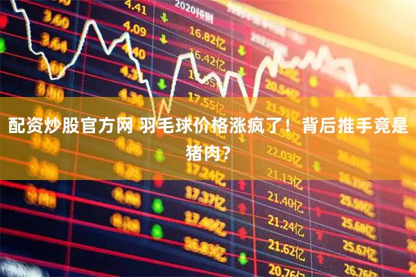 配资炒股官方网 羽毛球价格涨疯了！背后推手竟是猪肉？